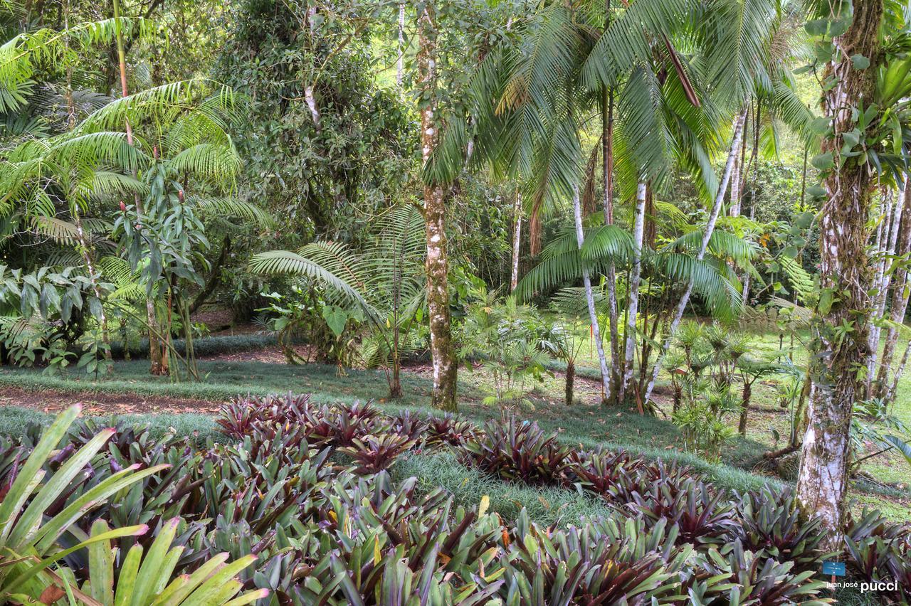 Estación Biológica Las Cruces y Jardín Botánico Wilson San Vito Exterior foto
