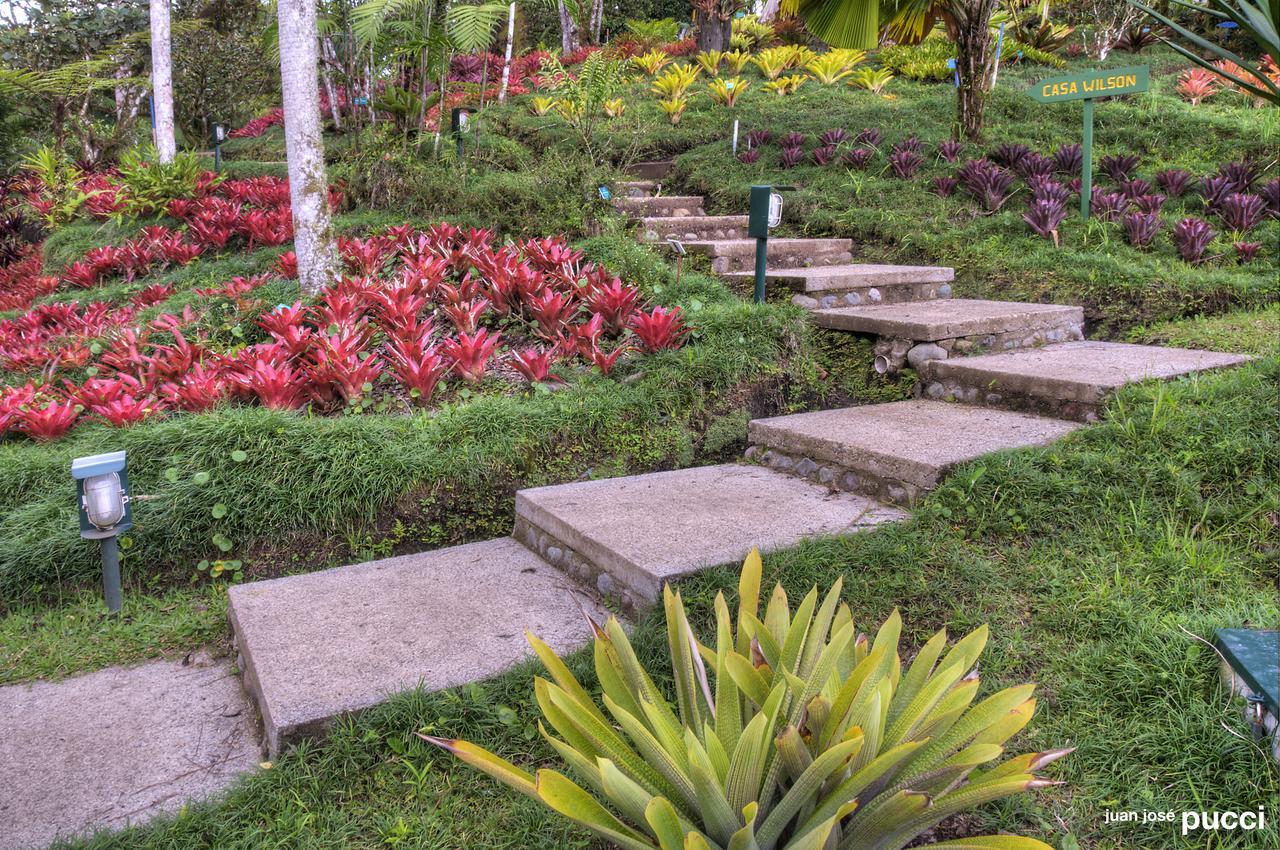 Estación Biológica Las Cruces y Jardín Botánico Wilson San Vito Exterior foto