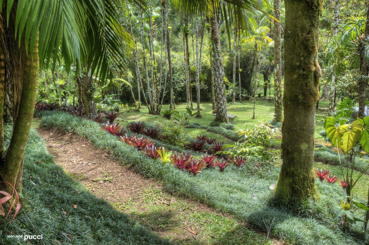Estación Biológica Las Cruces y Jardín Botánico Wilson San Vito Exterior foto