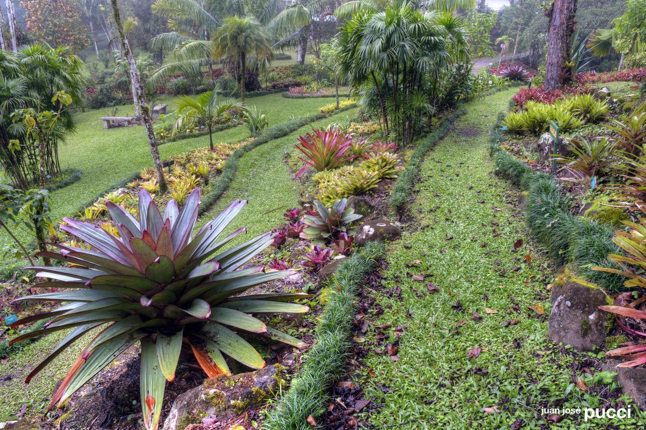 Estación Biológica Las Cruces y Jardín Botánico Wilson San Vito Exterior foto